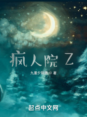 疯人院Z