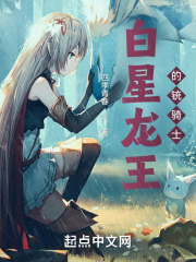 白星龙王的铳骑士