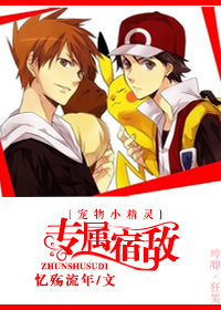 [宠物小精灵]专属宿敌
