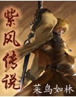 网游之紫风传说